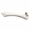 Interior Door Handle Part For BMW E90, E91 - Right Beige