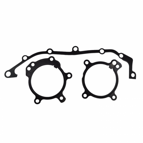 BMW E46, E39, E65, E85 (M52TU,M56,M54) için Çift Vanos Conta Tamir Seti